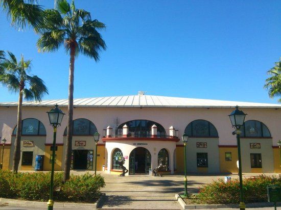 Escuela de Arte Ecuestre Costa del Sol